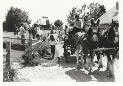 A horse and cart giving rides to visitors, on a Gala weekend at Howick Historical Village.; 1986; P2021.178.03