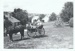 A horse and cart on the grass on Church Street in Howick Historical Village.; La Roche, Alan; 27 February 1988; P2021.180.06