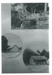 Three Cottages at Maraetai Beach 1908; 13/01/1908; 2017.300.61