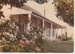 Shamrock Cottage.; La Roche, Alan; 1/08/1975; 2018.042.43