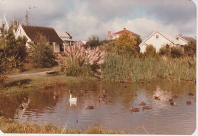 Ducks and geese in the Historical Village pond.; 1/10/1984; 2019.122.14