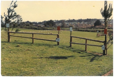 NZ Pony Club Championship, 1982; 1989; 2017.109.68