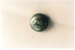 Brass buttons from the 14th Regiment of Foot.; 1861-1863; 2017.148.24