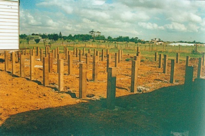 Piles for White's Homestead at Howick Historical Village.; La Roche, Alan; 17 January 1996; P2021.69.03