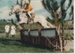 NZ Pony Club Championship, 1982; Thomson, Barbara, Karori, Wellington; 1982; 2017.109.88
