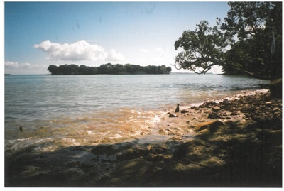 Motukaraka or Flat Island; La Roche, Alan; 2010; 2016.568.95