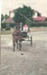 Two people in a horse and gig at a Gala Day at Howick Historical Village.; 1984; P2021.176.05