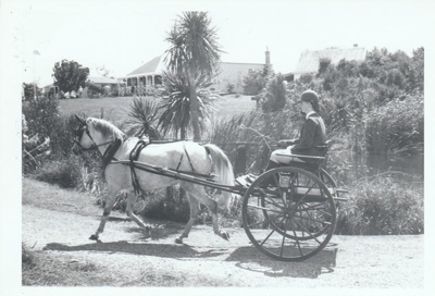 A horse and cart on Church Street in Howick Historical Village.; La Roche, Alan; 27 February 1988; P2021.180.11