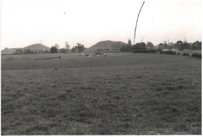 View across farmland to East Tamaki Road; 1955; 2017.188.38
