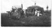 Black and white photographic postcard of traction engine threshing wheat; 1909; 10023