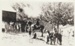 Pakuranga School pupils and their horses; Roberts, Gordon, Auckland; 1910; 2019.019.01