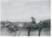 Henry Crawford in a horse and buggy on Stockade Hill.; 2016.314.71
