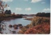Turanga River, 1981; La Roche, Alan; 1/10/1981; 2017.330.34