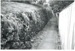 Path between Selwyn and Uxbridge Roads; La Roche, Alan, Howick; Oct.2001; 2016.402.05