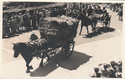 Dufty Bell leading a horse-drawn wagon carrying jogs of hay followed by Cecil Somerville-Culver driving a gig during the 1947 Centennial Parade.; Lee-Johnson, Eric, Otahuhu; 8 November 1947; P2022.38.15