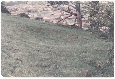 Pigeon Mountain kumara pits; 1981; 2016.438.31