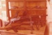A display of firearms in Pakuranga School in Howick Historical Village as part of the International Military Arms Society display.; La Roche, Alan; 23 August 1980; P2021.100.04