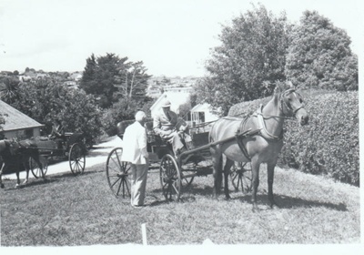 A horse and cart on the grass on Church Street in Howick Historical Village.; La Roche, Alan; 27 February 1988; P2021.180.07