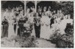 James Ballantyne and Beatrice Mary Tebbutt's wedding party; 23 April 1895; 2018.330.15