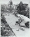 Pakuranga Jaycees building on a path at Howick Historical Village.; 1981; 2019.129.23