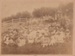 Pakuranga School picnic 1902; Pulman, E, Auckland; 1902; 2019.018.01