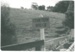 Whitford Road bridge over the Turanga River; La Roche, Alan (?); 1991; 2017.125.23