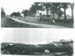 Owhango and Howick Beach; 1904-1910; 2016.107.013c