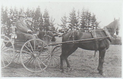 Alex Bell in his wagonette; c1905; 2017.447.32