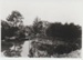 Pakuranga Hunt Club crossing the dam on Archie Millen's farm.; c1948; 2017.376.34