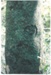 Maori bark carvings on Karaka trees; La Roche, Alan; 1990; 2017.084.24