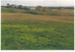 Somerville Farm development, 1987; La Roche, Alan; 1/03/1987; 2017.113.71