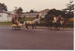 NZ Pony Club Championship, 1982; 15/05/1982; 2017.109.94