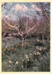 Spring blossom at Hawthorn Farm; Hattaway, Robert; 1982; 2016.278.80