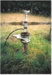Hot water bore in Brownhill Road,; La Roche, Alan; 2009; 2017.092.47