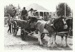 A horse and cart giving rides to visitors, on a Gala weekend at Howick Historical Village.; 1986; P2021.178.02