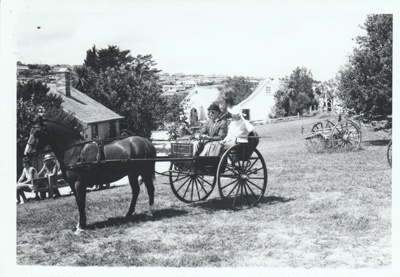 A horse and cart on the grass on Church Street in Howick Historical Village.; La Roche, Alan; 27 February 1988; P2021.180.08