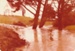Botany Creek in flood behind Pakuranga School in Howick Colonial Village. ; 1 July 1979; P2022.21.01