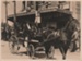 Two couples in a horse-drawn wagon outside McInnes building on the corner of Picton Street and Selwyn Road during the 1947 Centennial Parade.; J. C. Litten; November 1947; P2022.38.09