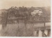 Hattaway family in gig, Manemangeroa Bridge 1914; Trayer, Vic; 1914; 2017.435.15