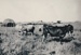 Pakuranga farming, 1935; 1935; 2016.282.66