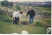 Alan la Roche and Sue planting a Totara; 18/09/1998; 2019.118.01