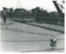 Mahua crane demolishing Panmure bridge; 1959; 2017.285.28