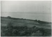 Above Cockle Bay c.1900; Winkleman, Henry; c1927; 2017.195.03