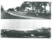 Owhango and Howick Beach; 1904-1910; 2016.107.13d