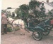 A man at a fence with two horses and gigs at a Gala Day at Howick Historical Village.; 1984; P2021.176.02