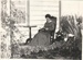 Eileen Martensen, Secretary of the Howick Historical Society reading while sitting in a chair outside a cottage at the 1962 exhibition of the Howick Historical Society in the Howick Town Hall.; Auckland Star; 1962; P2022.10.04