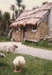 Ducks in front of the Sod Cottage, Howick Historical Village 
; La Roche, Alan; P2020.43.28