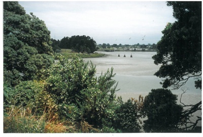 Otara Creek and Tamaki River; La Roche, Alan; 2000; 2017.170.55
