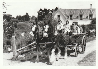A horse and cart giving rides to visitors, on a Gala weekend at Howick Historical Village.; 1986; P2021.178.05