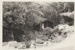 Torere Ngai Tai (Maori Meeting House) in the Garden of Memories.; La Roche, Alan; 1/09/1969; 2019.090.16